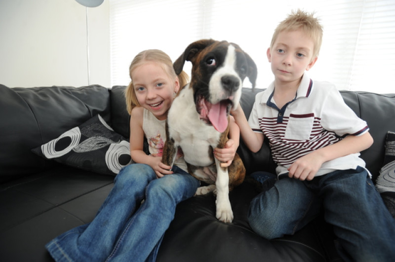 Main image for Nicola £4k bid for cataract pup