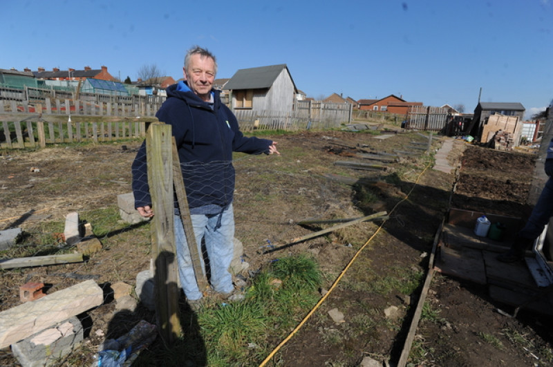 Main image for Allotments repeatedly targeted by vandals