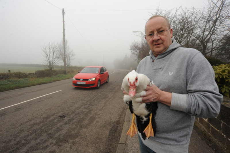 Main image for Motorists plea to make road safer