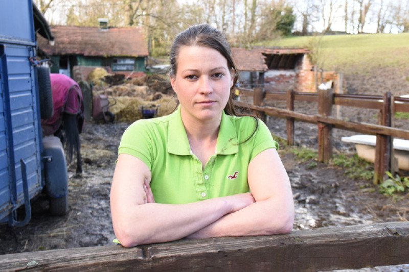 Main image for Reward offered to find horse killer