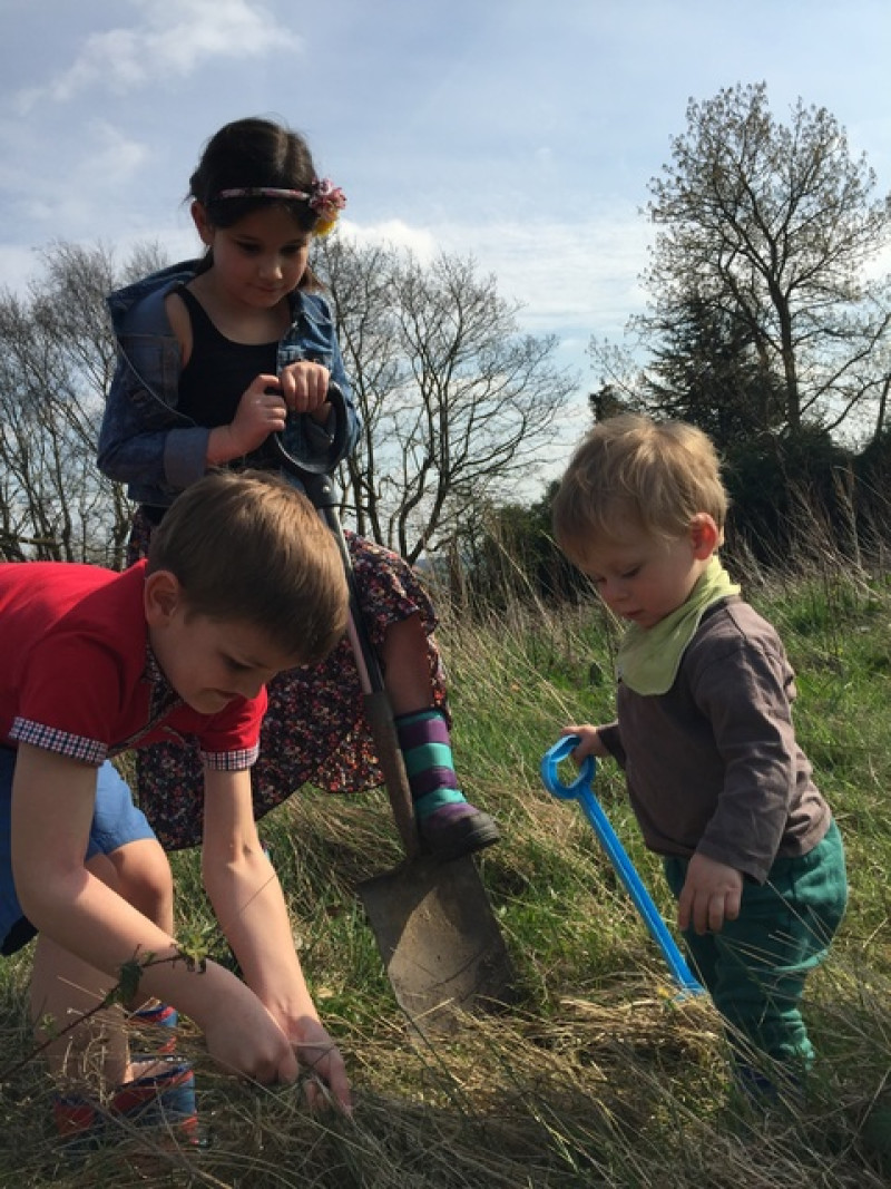 Main image for Community garden plan revealed for Hoyland