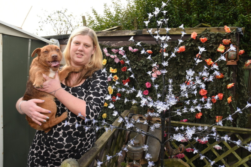 Main image for Doting dog owner devastated at mix up