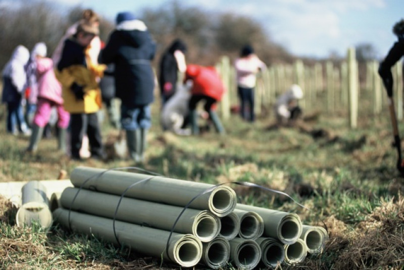 Main image for Local schools set to benefit from free trees