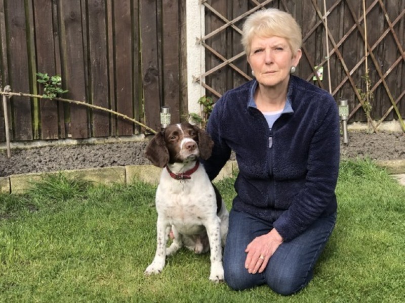 Main image for Woman hits out at dog fouling fine