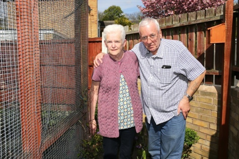 Main image for Birdkeeper hits out at thieves