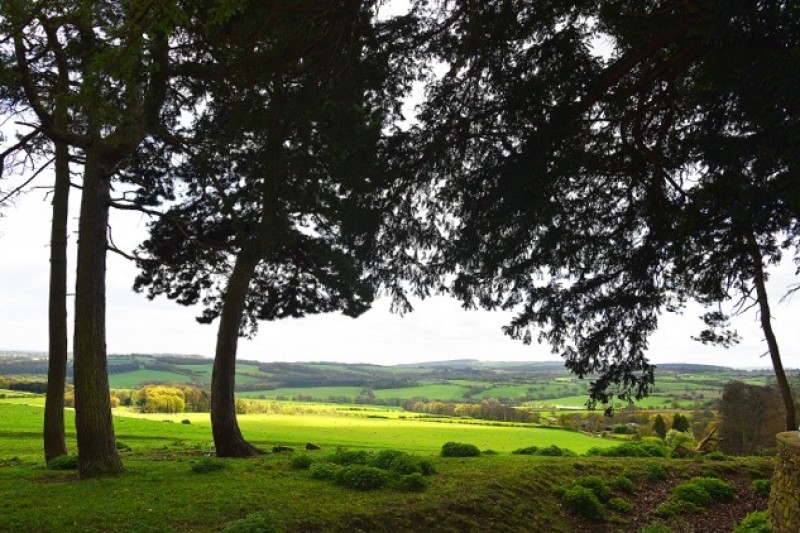 Main image for Wentworth Castle Gardens closure ‘sad day’ for Barnsley