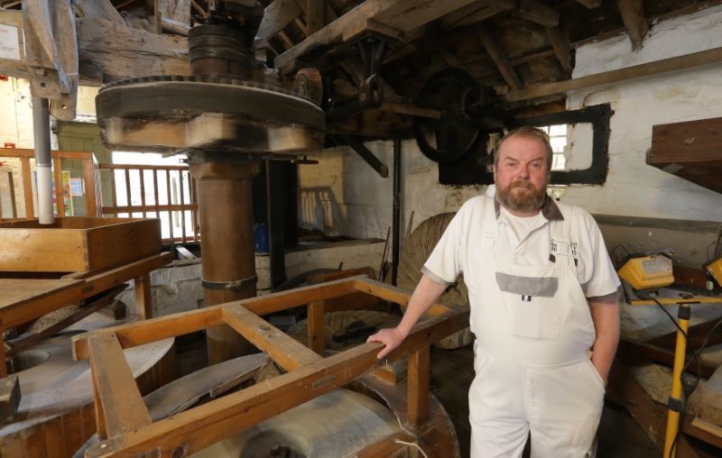 Main image for Daily grind needs new flour power