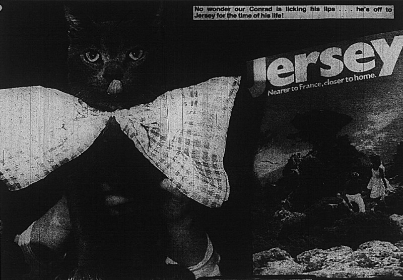 Main image for 1988: Glancing Back