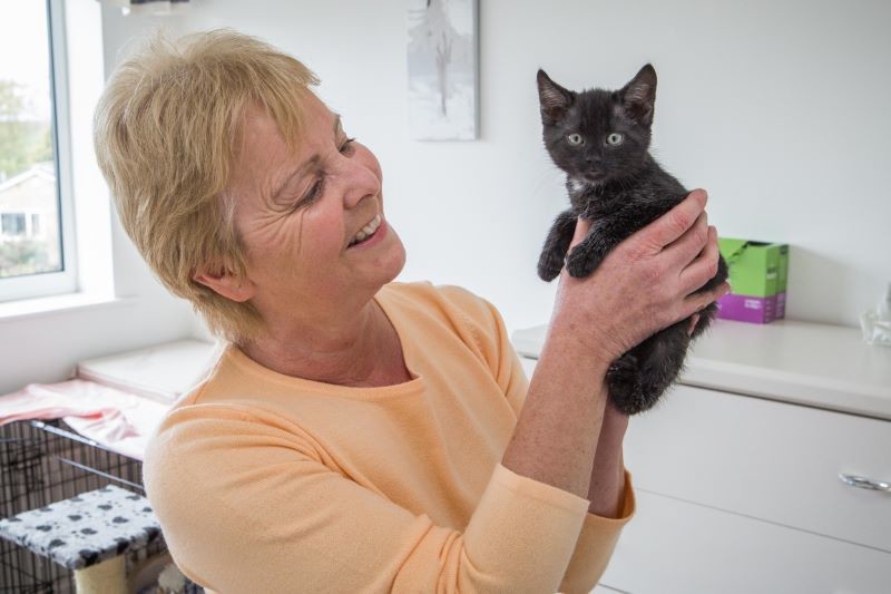 Main image for Appeal for purr-fect homes...