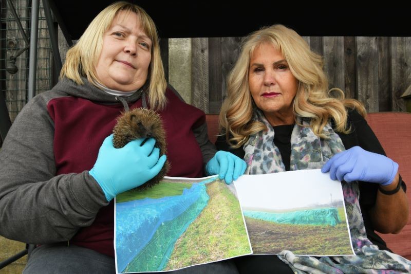 Main image for Campaigners net MP’s support