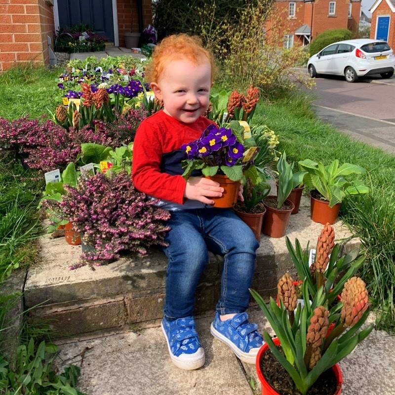 Main image for Flowers distributed to Grimethorpe residents