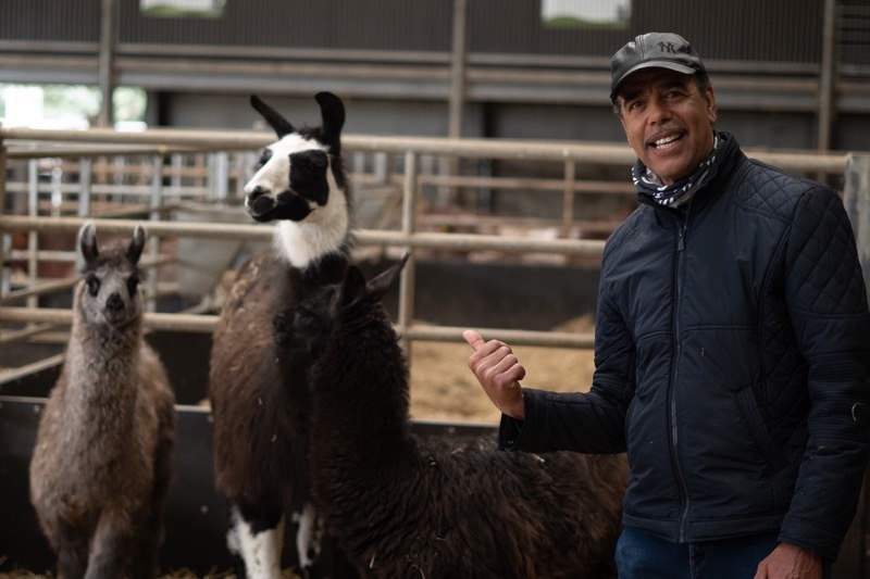 Main image for Ex-footballer meets llama namesake