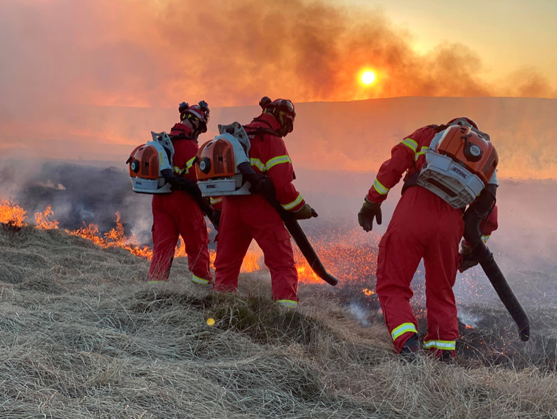 Main image for Cause of huge moorland blaze probed by police