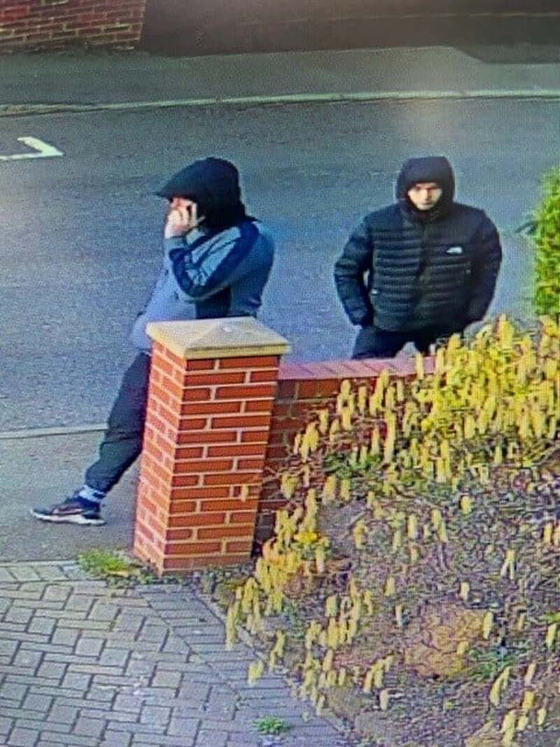 Main image for Police probe burglary report