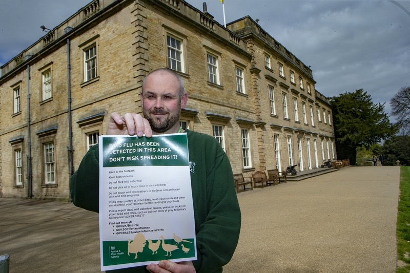 Main image for Warning issued over bird flu cases