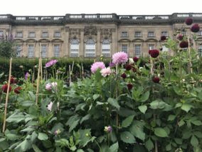 Main image for Slavery links ‘not hidden’ at National Trust site