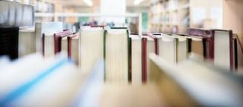 Main image for Overcrowded schools being monitored