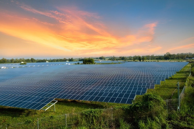Main image for Solar farm plan at food manufacturer site