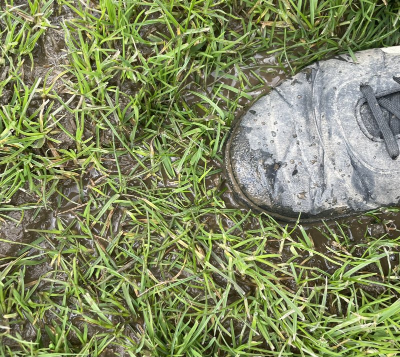 Picture: Wombwell Main