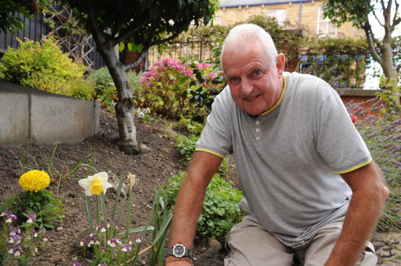 Main image for Why Peter's daffodils have flower power