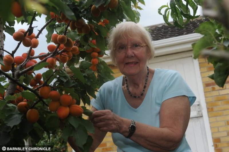 Main image for Life's a peach for fruit fan Margaret