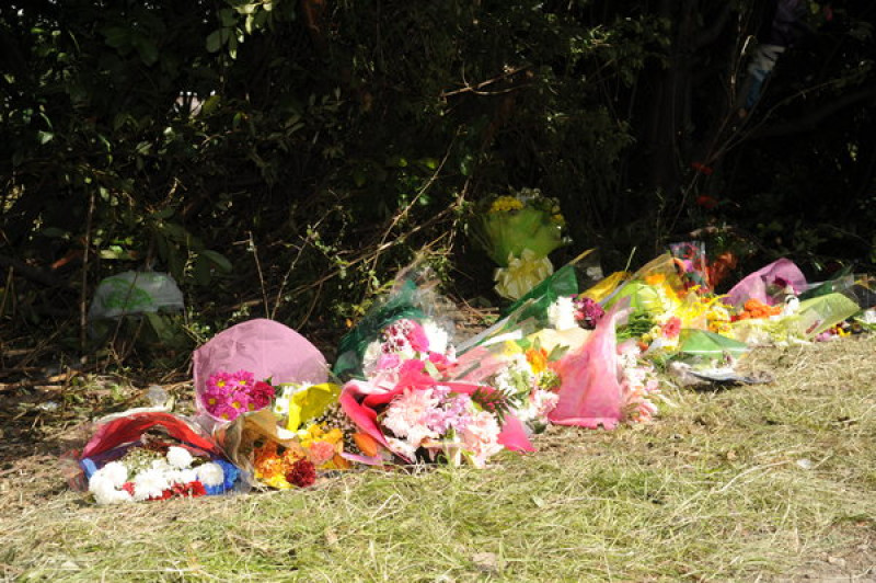 Main image for Carlton death crash victim named