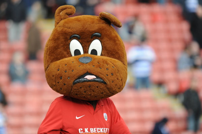 Main image for Cheerio's fun day with Toby Tyke