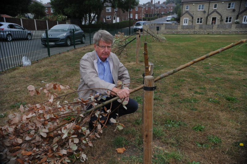 Main image for Councillor blasts bid for 200 homes