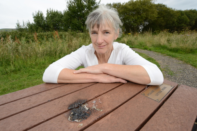 Main image for Vandals leave group with unpayable bill