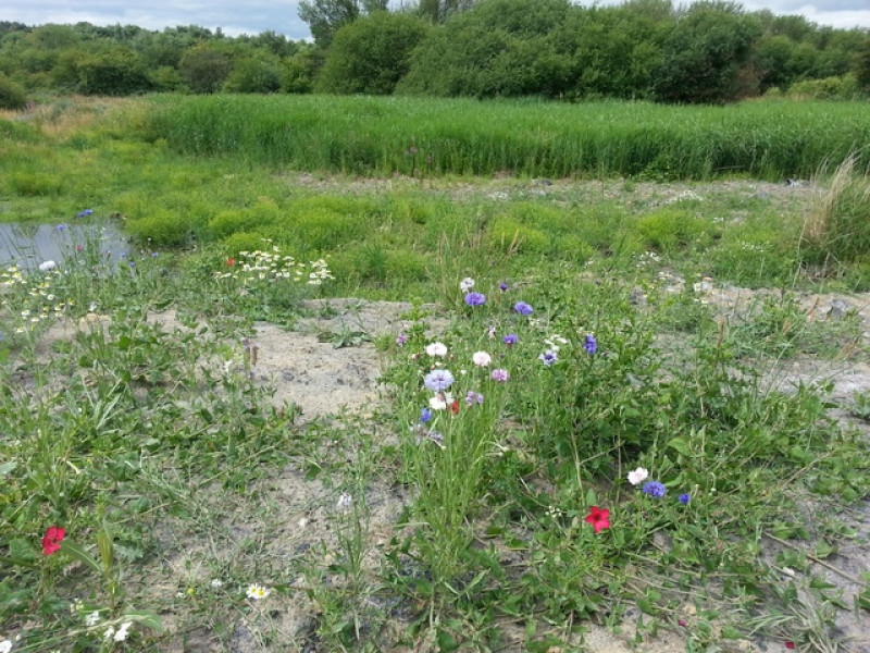 Main image for Wildlife to benefit from cash boost