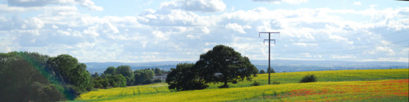 Main image for Steps taken to abolish town council