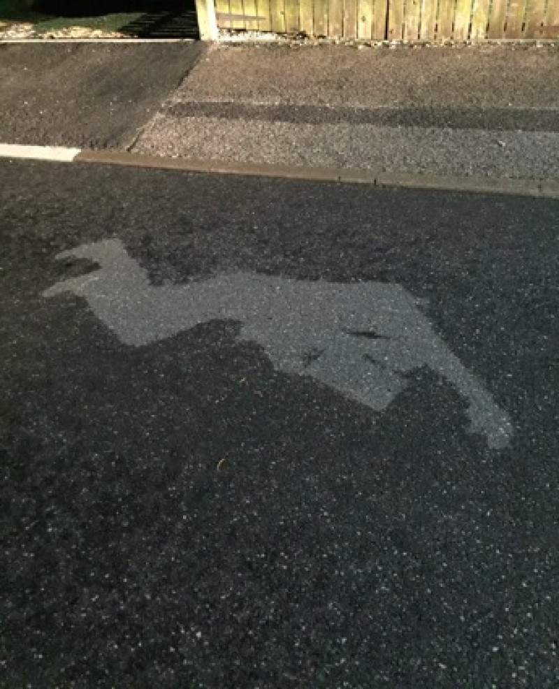 Main image for Drunk man leaves outline after passing out