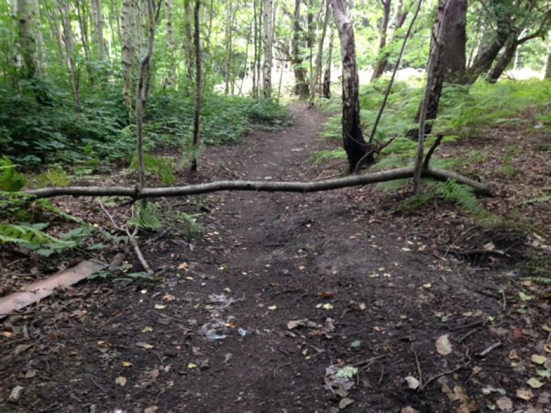 Main image for Cyclist issues Wombwell Woods warning
