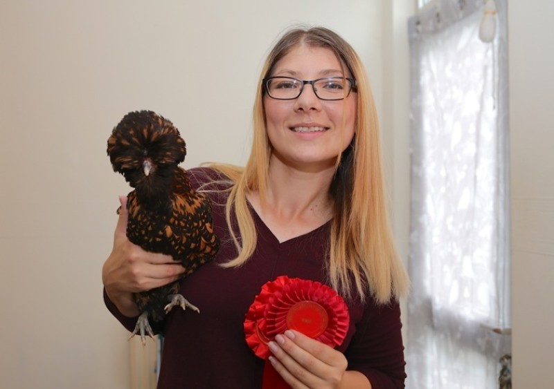 Main image for Stolen chickens found
