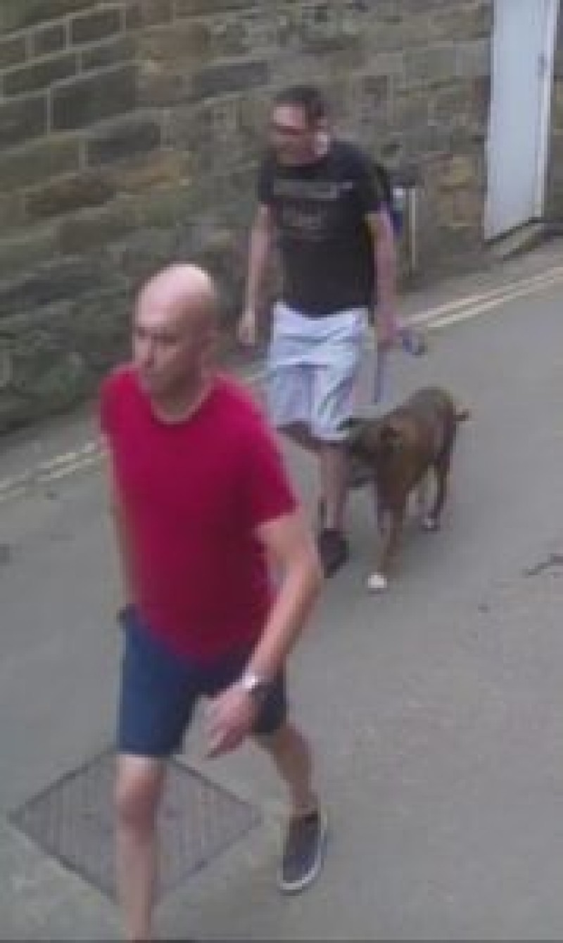 Main image for Barnsley boy bitten by dog
