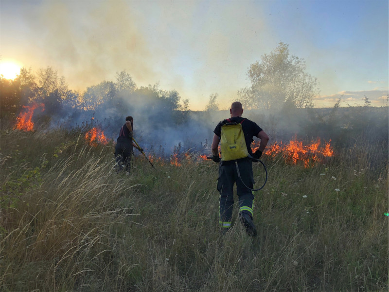 Main image for Firebugs targeting golf club