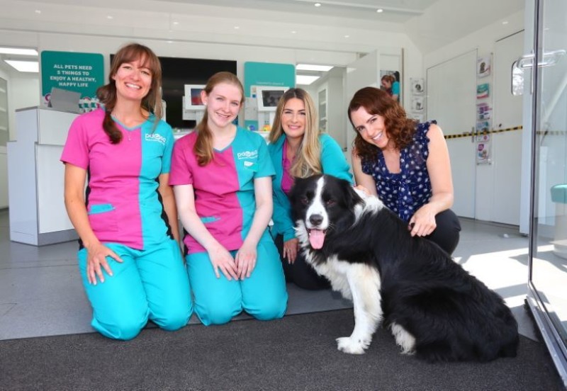Main image for Pets get free health check-ups