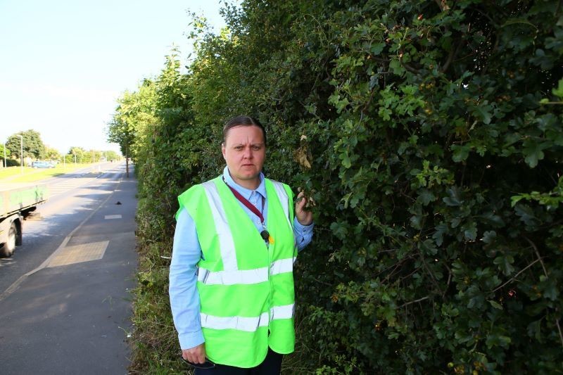 Main image for Councillor takes tree matters into her own hands