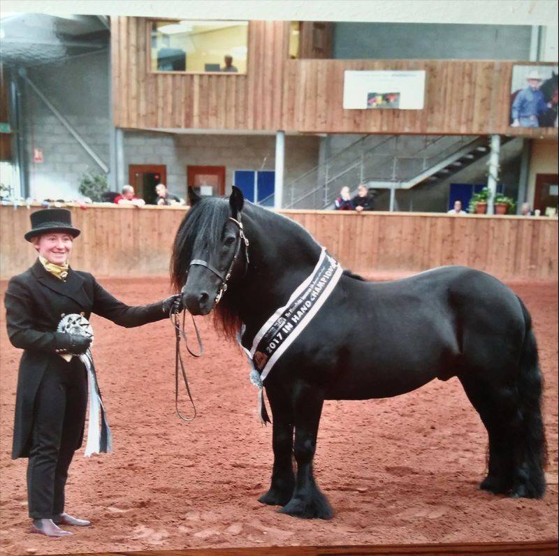 Main image for Amy’s success in competition