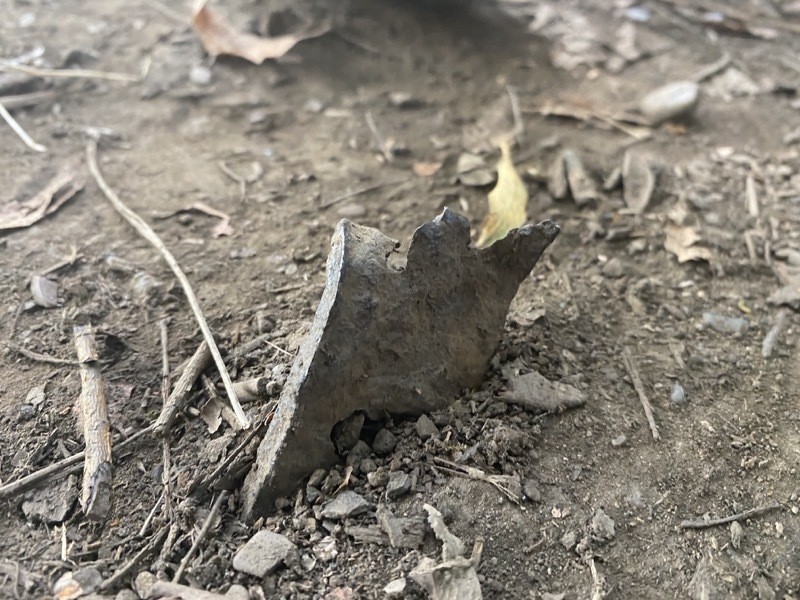 Main image for Fly-tipped metal spike injures walkers