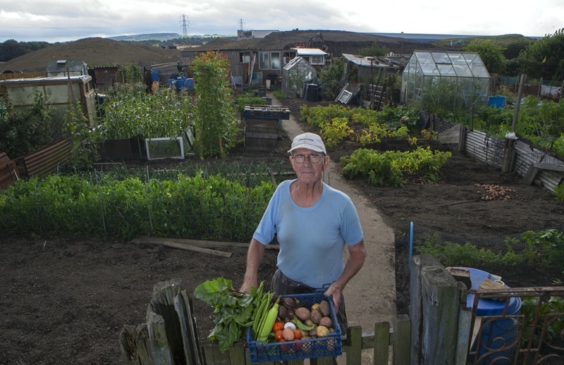 Main image for Hermes’ arrival irks allotment holders...