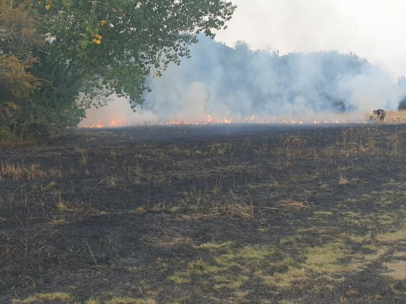 Main image for Fast-acting neighbours battle flames