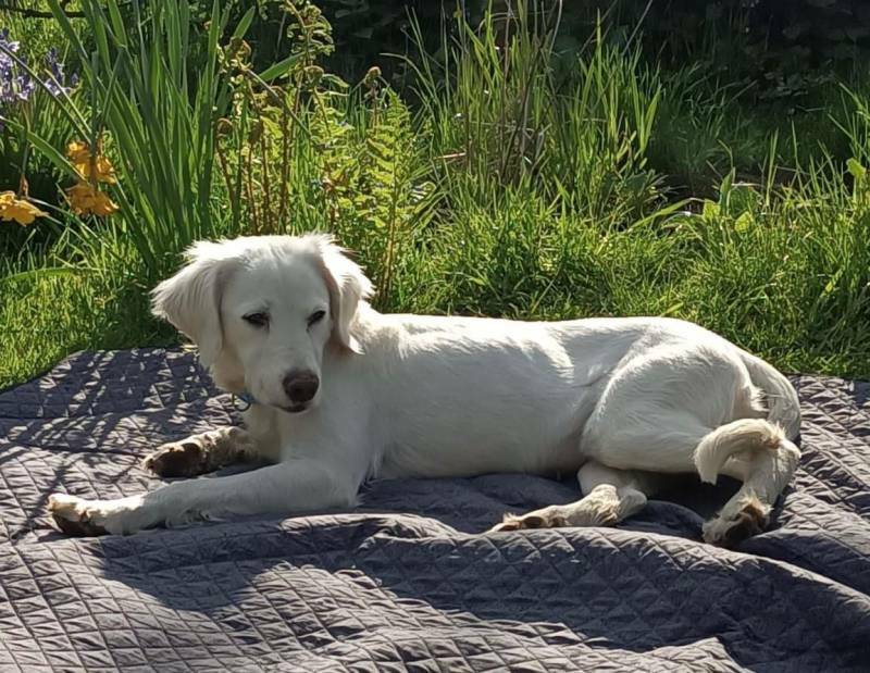 REUNITED: Misty.