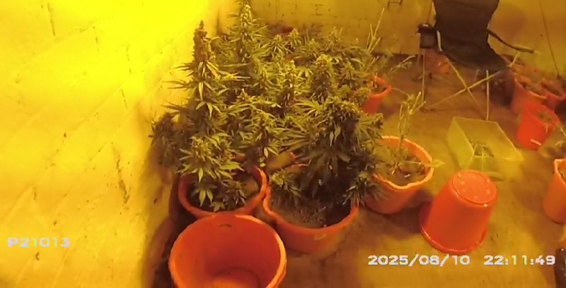 GROW FOUND: The cannabis farm was found in Goldthorpe.