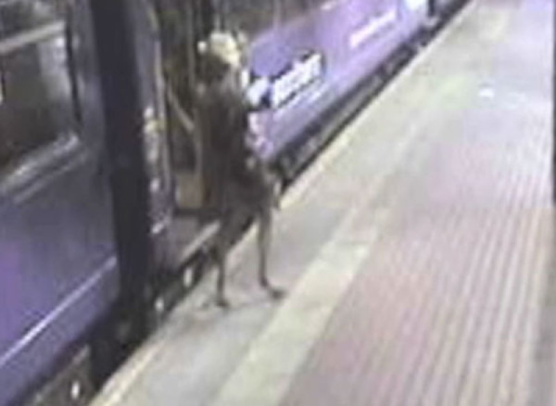 Main image for Drunk woman falls under train