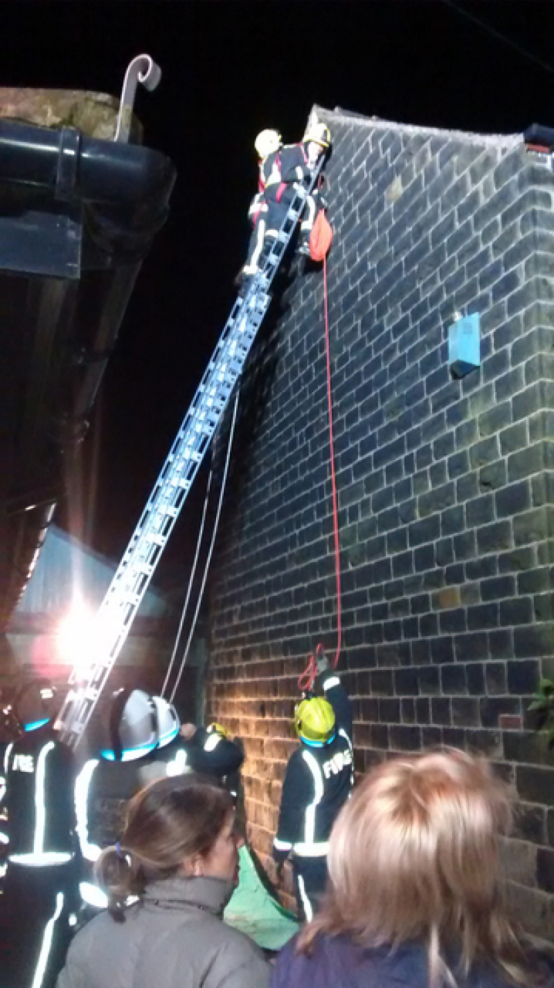 Main image for Cat rescued after being trapped in roof