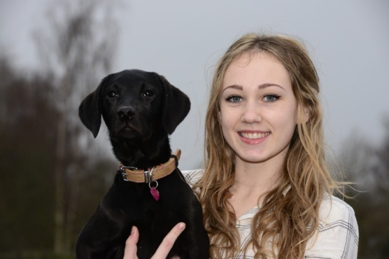 Main image for Happy ending for missing dog tail