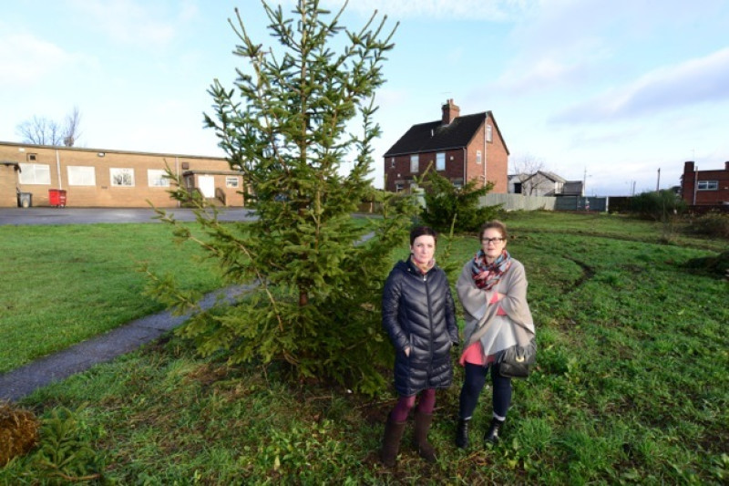 Main image for Community rallies as Christmas tree is hacked