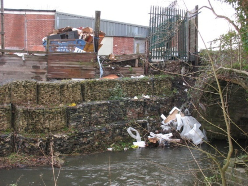 Main image for Business takes action on river bank
