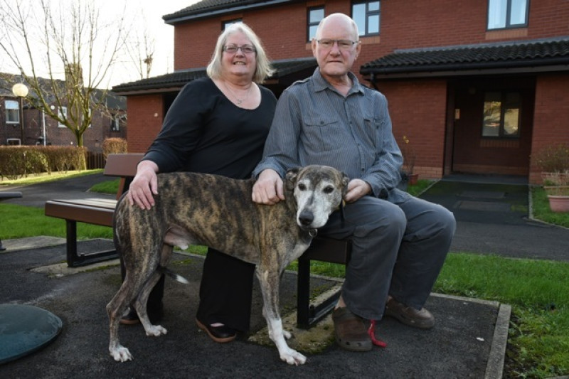Main image for Home from home for rescued Chuck